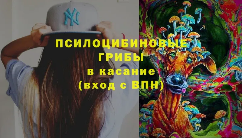 Псилоцибиновые грибы Magic Shrooms  Родники 